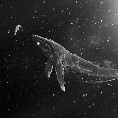 EXO 불공평해 (Unfair) 자켓