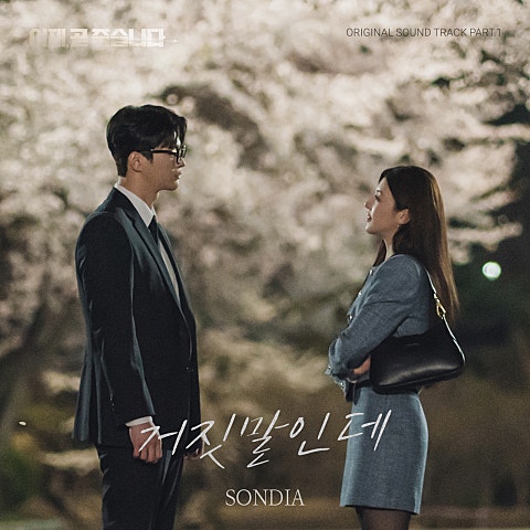 Sondia 거짓말인데(드라마 자켓
